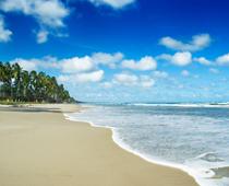 Special-Beach-B.jpg