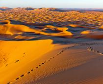 Special-Desert-B.jpg
