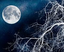 Special-Moon-B.jpg