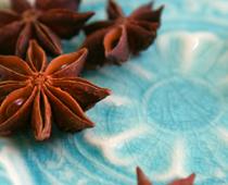 Spice-Anise-B.jpg