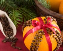 Spice-Clove-B.jpg