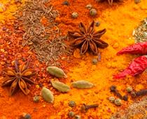 Spice-Spice-B.jpg