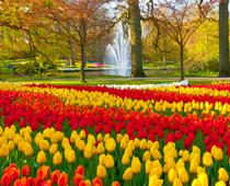 Spring-B.jpg
