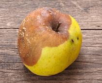 Staying-Healthy-8-s.jpg