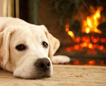 Staying-Safe-4-s.jpg