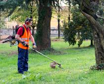 Staying-Safe-8-s.jpg