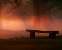 Sunshine-Mist-B.jpg