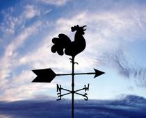 Sunshine-Vane-B.jpg