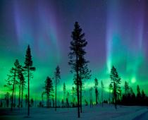 Telescope-Lights-B.jpg
