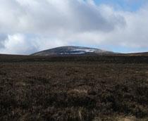 The-Cheviot-B.jpg