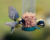 The-Living-World-8-s.jpg