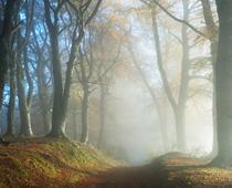 The-Weather-8-s.jpg