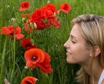 Using-Our-Senses-5-s.jpg