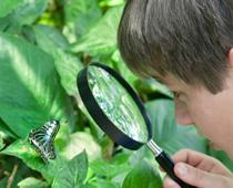 Using-Our-Senses-8-s.jpg