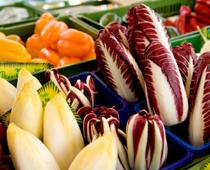 Veggie-chicory-B.jpg