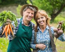 Veggie-turnip-B.jpg