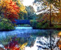 View-Fall-B.jpg