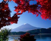 Visit-Japan-B.jpg
