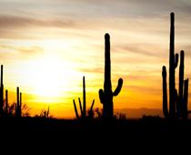 Way-West-B.jpg