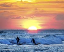 We-Do-surf-B.jpg