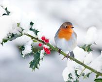 Weather-8-s.jpg