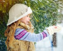 Weather-Snowflake-B.jpg