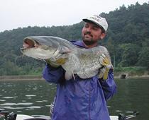 Wels-Catfish-B-1.jpg