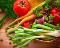 What-food-should-we-eat-2-s.jpg
