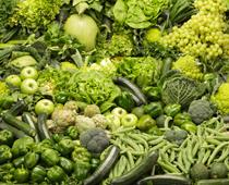 What-food-should-we-eat-3-s.jpg