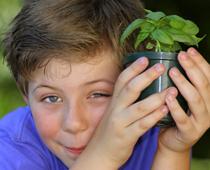 What-makes-plants-grow-4-s.jpg