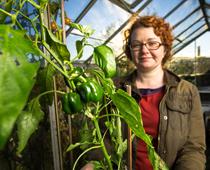 What-makes-plants-grow-9-s.jpg