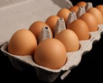 Where-does-food-come-from-7-s.jpg