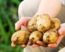 Where-does-food-come-from-8-s.jpg