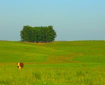 Which-Direction-9-s.jpg