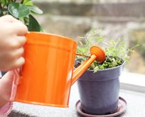 Whose-Plant-Will-Grow-Best-2-s.jpg