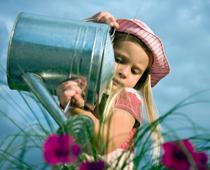 Whose-Plant-Will-Grow-Best-6-s.jpg