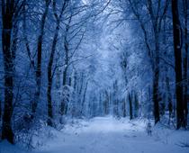 Winter-B.jpg