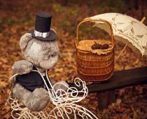 Woods-Teddy-B.jpg