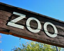 Word-Zoo-B.jpg