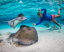 World-CaymanIslands-B.jpg