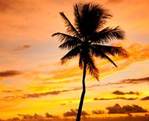 World-Fiji-B.jpg