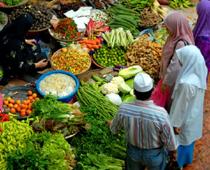 World-Malaysia-B.jpg