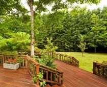 Yard-1-backyard-B.jpg