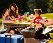 adj-picnic-B.jpg