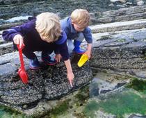 beach-rockpool1-B.jpg
