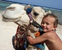 best-1-camel-B.jpg