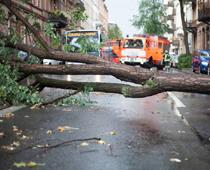 cap-1-storm-B.jpg