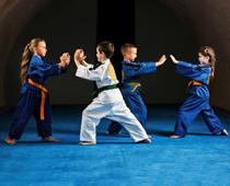 cap-2-karate-B.jpg