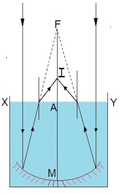 ch-11_qn-137Exp_img_no1.png
