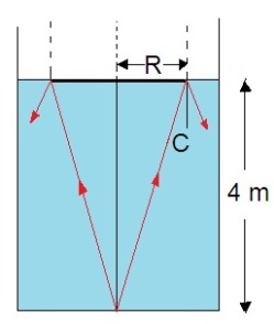 ch-11_qn-162Exp_img_no1.png